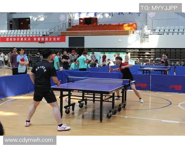 西安乒乓球队团队协作变革引发热议与思考