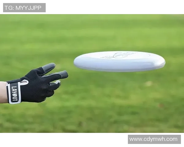 飞盘运动的魅力与挑战：深入探讨西安飞盘队的灵活性与团队合作精神